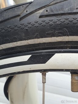 Horské kolo Pells Thor, M, olejové brzdy - - 8