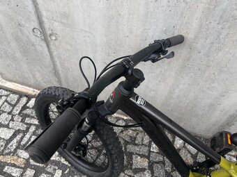 Rocky Mountain Growler 20” - 8