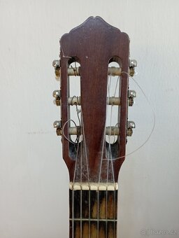 Kytara Amada ( Cremona) - 8