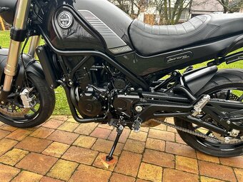 Benelli Leoncino 500 - 8