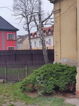 Pronájem bytu 2+1 v Česká Lípa, Dubická ul.. - 8