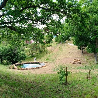 Pozemek - zahrada, Naloučany - 8