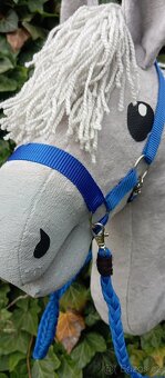 Hobby horse - 8