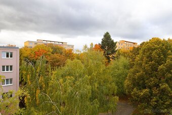 2+1 CHOMUTOV | BEZ PROVIZE | KAUCE JE MOŽNÁ NA SPLÁTKY - 8