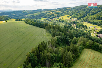 Prodej lesa, 36610 m², Peřimov - 8