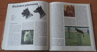 Psi, Stavby zvířat - 8