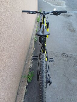Carbon 29 - 8