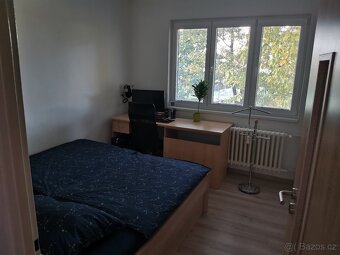 Pronájem bytu 2+1 - 8