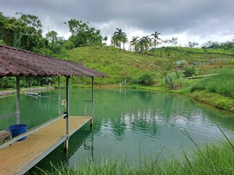 Farma Kostarika Guayacará 152 Ha - 8