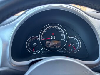New beetle - 8