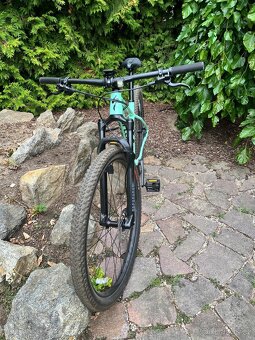Horské kolo Specialized Chisel - Oasis/Forest Green - 8