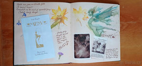 Brian Froud - velké knihy ilustrací víl a skřítků + karty - 8