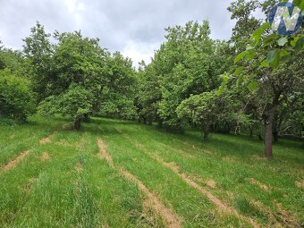 Pronájem zahrady, 10.029 m2, Chlumany - 8