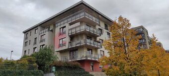 Pronájem bytu 1+kk s terasou a předzahrádkou, Jana Přibíka,  - 8