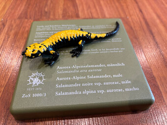 SOMSO - Modely obojživelníků - originály - SLEVA MOŽNÁ - 8