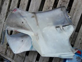 Cagiva cocis - 8