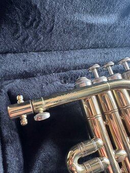 Prodám Trumpetu Stagg - 8