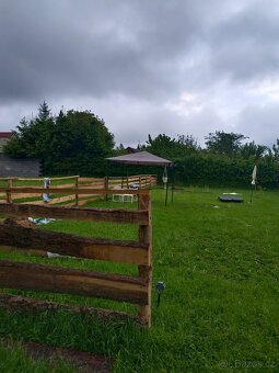 Pronajmu zahradu Strašice u Rokycan. Sad jabloní 1500Kč. - 8