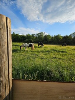 ustajnenie len 26km od hranic - 8