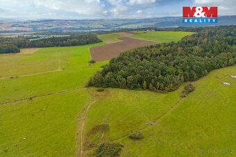 Prodej louky, 5715 m², Spálené Poříčí - 8