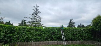 Stromolezec, arborista, udrzby zelene - 8