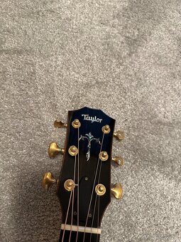 Taylor 910e / R.V 2014 / DREADNOUGHT / - 8