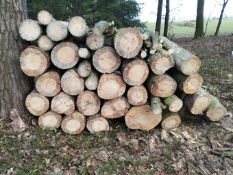 Palivové dřevo - 8