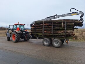 Palivové dřevo sypané, rovnané, tvrdé, měkké - 8