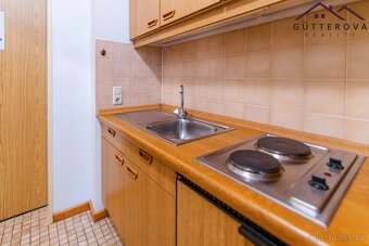 Apartmán 1+kk v Böhmischbrucku, ev.č. xIGB019 - 8
