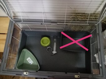 Prodám králíčka - zakrslý beránek (minilop) i s klecí - 8