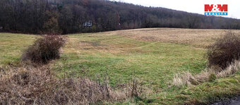 Prodej louky, 8010 m², Třebušín - 8
