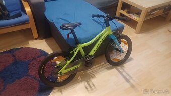 Author Record 16" - 8