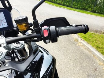 Triumph Tiger 900 GT PRO - 8