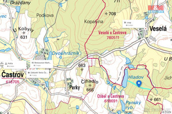 Prodej lesa, 26489 m², Častrov - 8