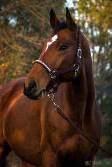 VALACH PARŤÁK PRO ŽIVOT A REKREACI - 8