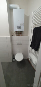 Pronájem 1+1, Krupka - Bohosudov - 8