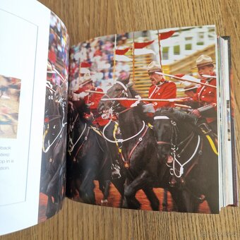 Horses (CubeBook, 2010) - 8