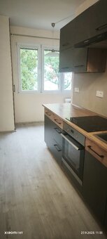 Pronájem bytu 2+1 s lodžií, 60 m2 , Plzeň Doubravka - 8