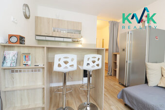 Prodej světlého bytu 1+1 po rekonstrukci – kompletně vybaven - 8