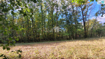 Prodej komerčního stavebního pozemku 7227m2 na okraji jezera - 8