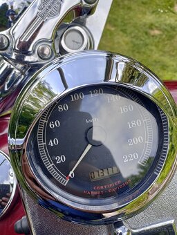 Harley Davidson DYNA WIDE GLIDE 1450 FXDWG - 8