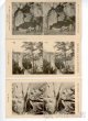 Historické stereoskopní fotografie z r. 1895 - 8