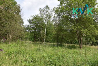 Prodej pozemku o velikosti 4 227 m2, v OV, Kraslice - Kamen - 8
