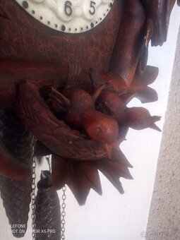 Kukačky krásné - 8