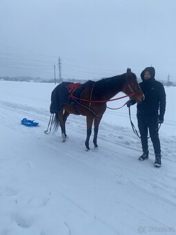 A1/1, 17 let – pro zkušenějšího jezdce - 8