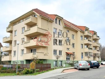 (N353) Pronájem Rožnov pod Radhoštěm - 8