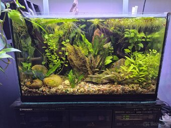 Akvarium 40×30×25  Š.V.H - 8