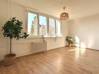 Pronájem bytu 3+kk, J.A. Komenského 290, Meziboří - 8