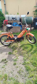 Babeta 207 - 8