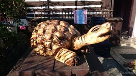 Dřevěné sochy - 8